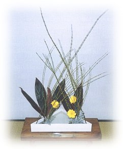 hana107
