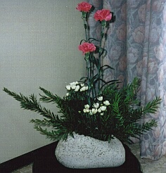 hana11