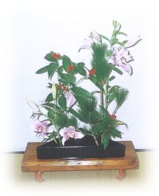 hana111