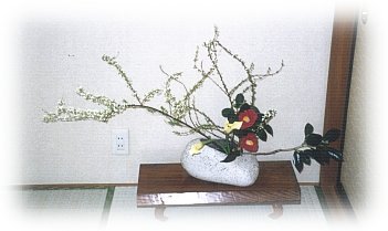 hana113