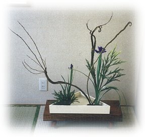hana114