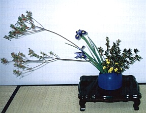 hana13