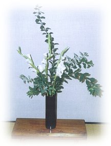 hana130