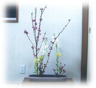 hana144