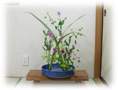 hana175-s