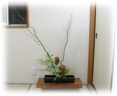 hana182