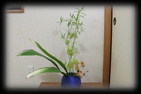 hana184