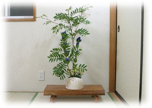hana198