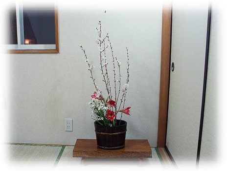 hana206