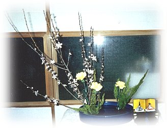 hana24