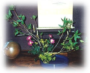 hana70