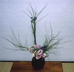 hana9