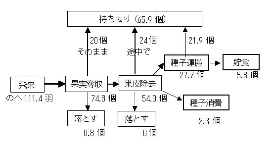 flow chart