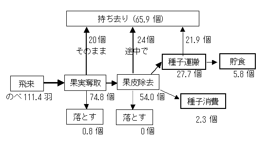 flow chart