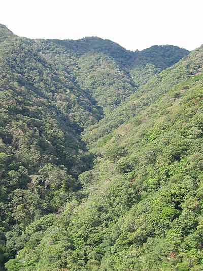 Valley