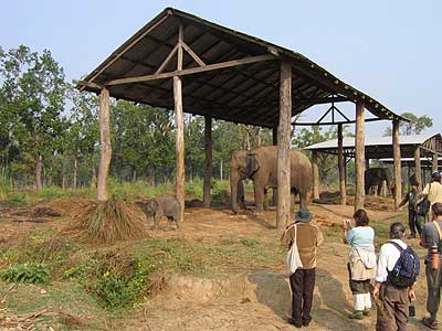 Elephant Breeding Center