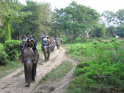 Elephant ride