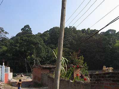 Rani Bari