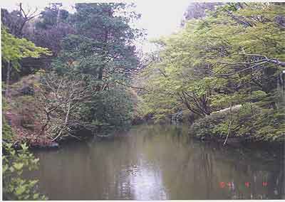 moat