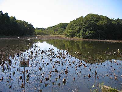 Shishitsuka