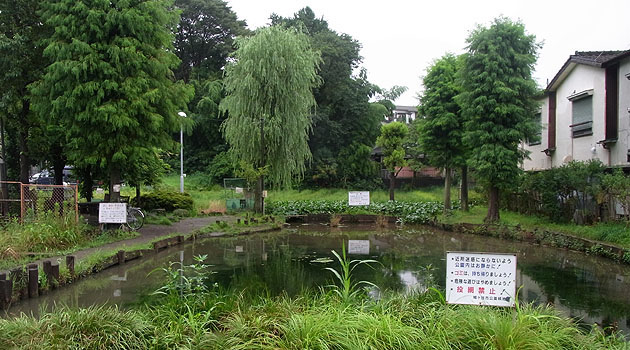 桜町湧水公園