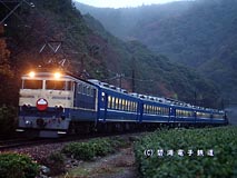 50�N�O�A�����w�ŎB����EF65P�́u�o�_�v���v���o���܂����B