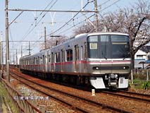 �����B��Ȃ��Ǝv���Ă������ː�3306F������ƎB�邱�Ƃ��ł��܂����B