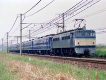 EF65105ij+12n~