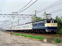 EF651131+14n~u݂сv