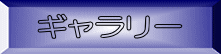 ギャラリー