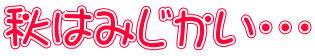 秋はみじかい・・・