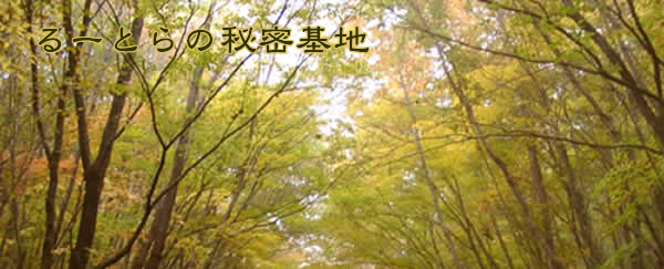 ��[�Ƃ�̔閧��n