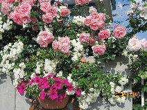 2009-10