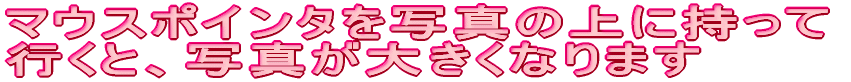 }EX|C^ʐ^̏Ɏ sƁAʐ^傫Ȃ܂