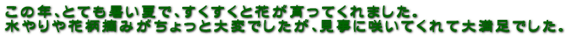 ̔NAƂĂĂŁAƉԂĂ܂B ԕE݂ƑςłAɍ炢Ăđ喞łB
