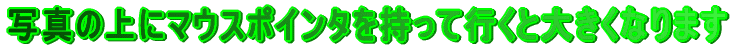 ʐ^̏Ƀ}EX|C^čsƑ傫Ȃ܂ 