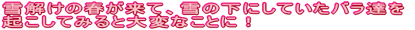 ̏tāẢɂĂoBNĂ݂ƑςȂƂɁI