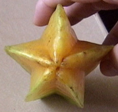 スターフルーツの実