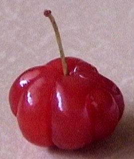 スリナムチェリー