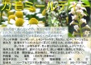 【ハーブティー(ハーブ茶、お茶)】カモミールティー(カモミール茶)の商品写真(画像)