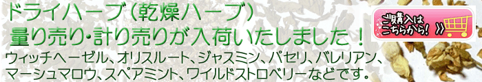 hCn[uin[ujʂ蔄Ev蔄肪ׂ܂Iw͂炩I