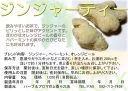 【ハーブティー(ハーブ茶、お茶)】ジンジャーティー(生姜茶、しょうが茶、ショウガ茶、生姜ティー)の商品写真(画像)
