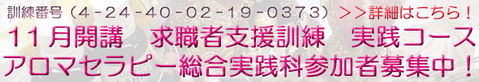 11Ju@EҎxP@HR[X@A}Zs[HȎQҕWIW͏I܂