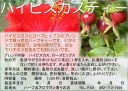 【ハーブティー(ハーブ茶、お茶)】ハイビスカスティー(ローズヒップティー、ローズヒップ茶)の商品写真(画像)