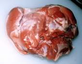 ���n�� �؃�����