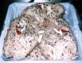 ���n�� ���Ђ�