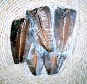 �i���^�� ���i����