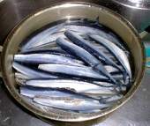 �T���}������