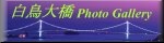 �����勴 Photo Gallery