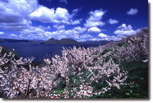 Lake TOYA